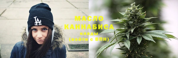 мдпв Богородск