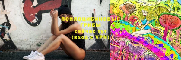 мдпв Богородск