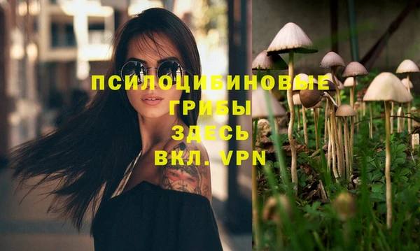 первитин Богородицк