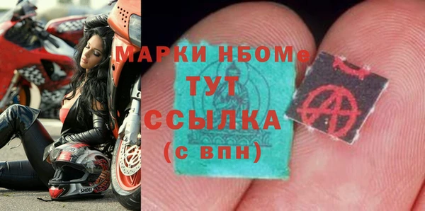 мдпв Богородск